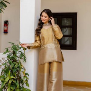 Banarasi Viscose Co-Ord Set – Elegant Ethnic Fusion