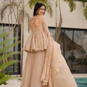Tabby Organza Mukesh Work Kurta Suit
